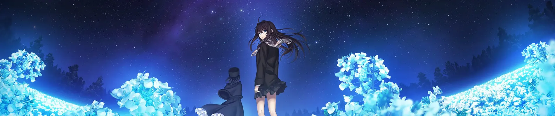 魔法使いの夜